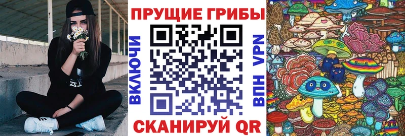закладка  Ворсма  Псилоцибиновые грибы MAGIC MUSHROOMS 