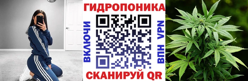 KRAKEN ССЫЛКА  Ворсма  Бошки Шишки конопля  как найти закладки 